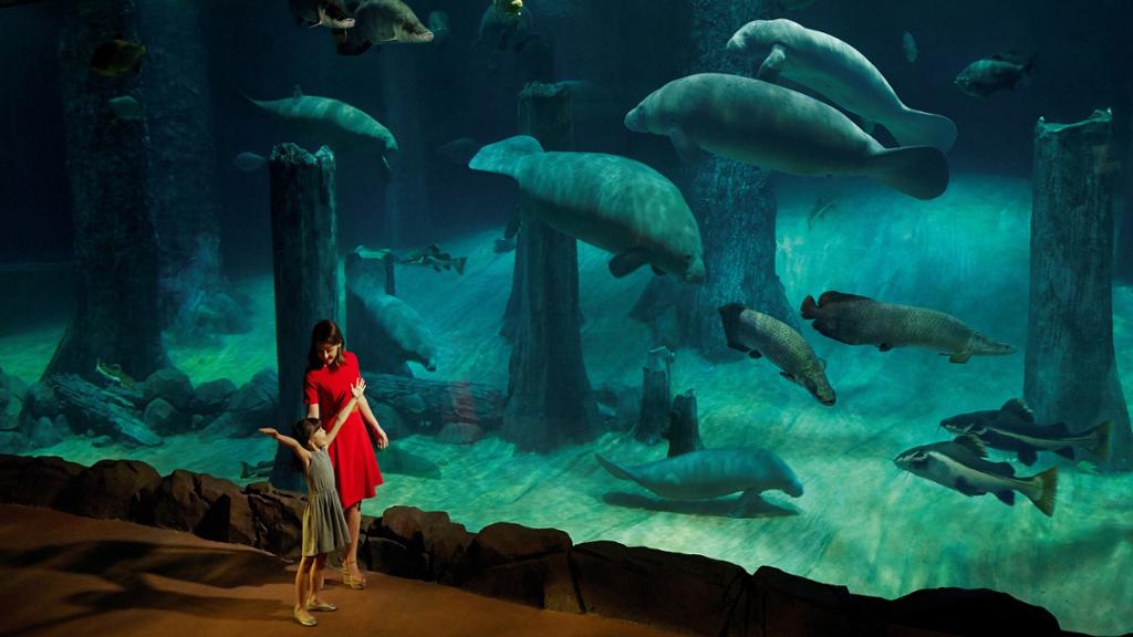 River Wonders - Image 2
